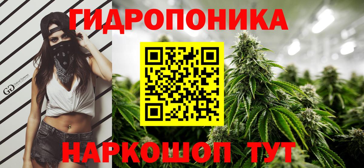 Каннабис конопля Сочи